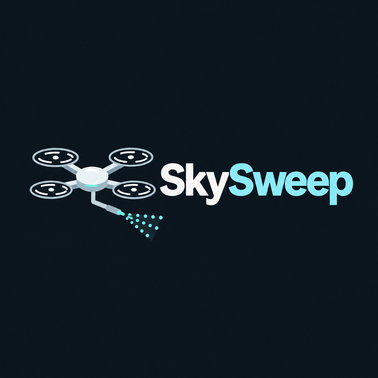 SkySweep